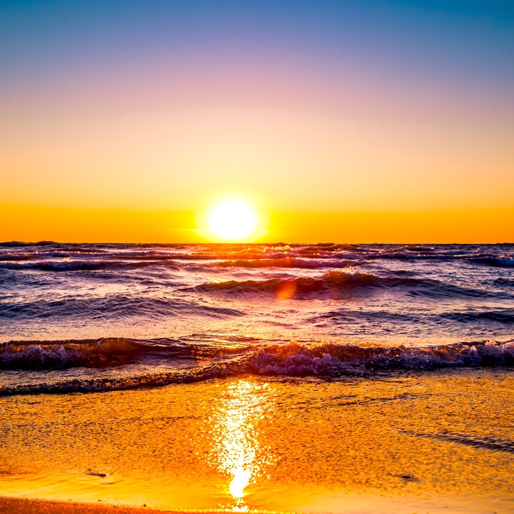 Meet your Posher, Rida